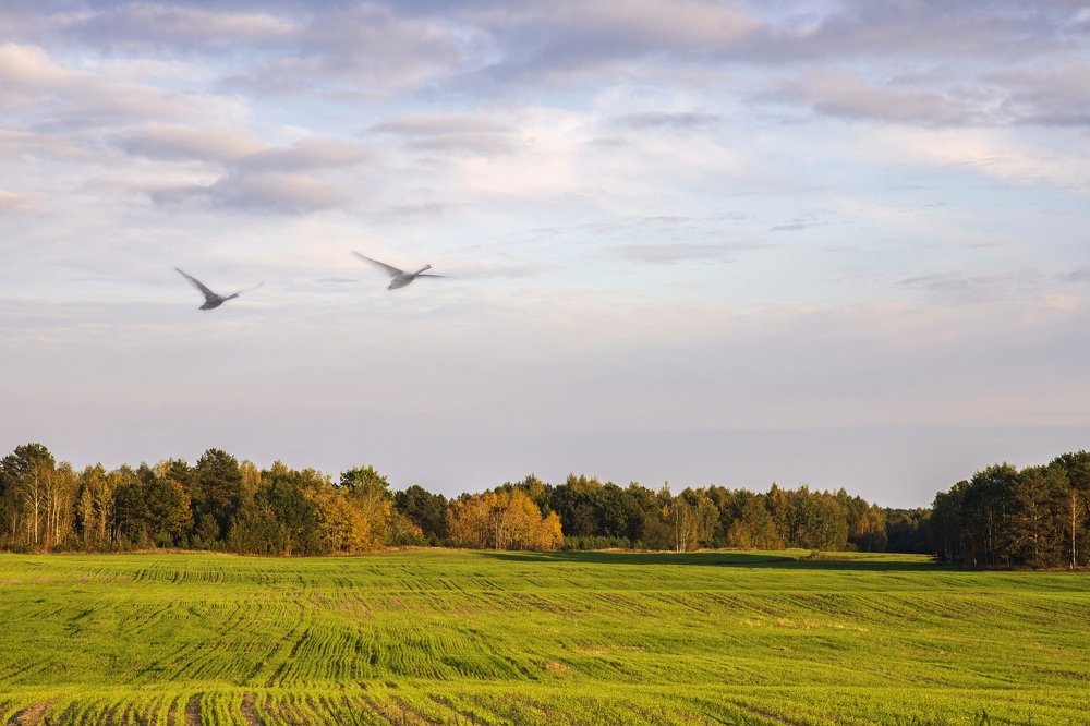 Photograph by Ирина Приходько