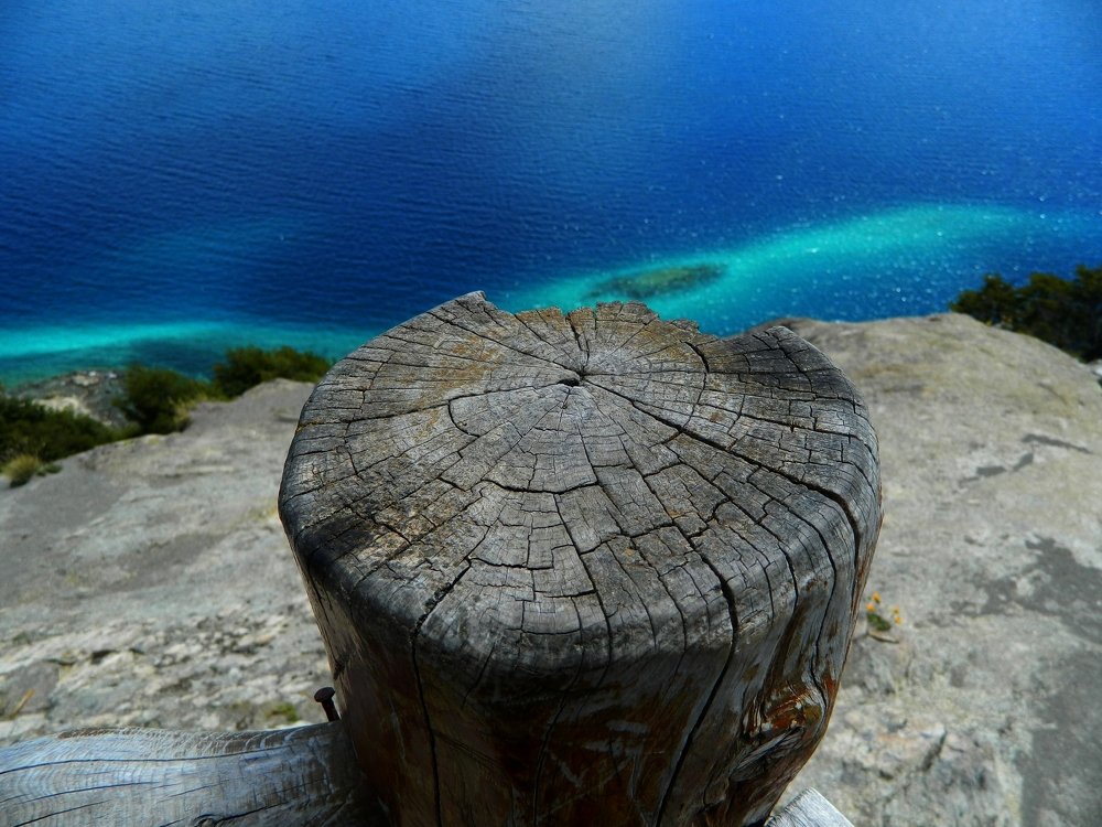 Photograph by Viviana García