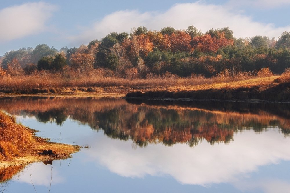 Photograph by Ирина Приходько