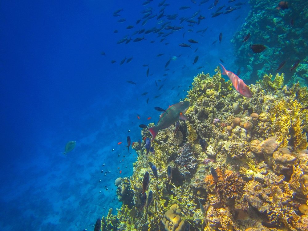 Photograph by Ирина Приходько