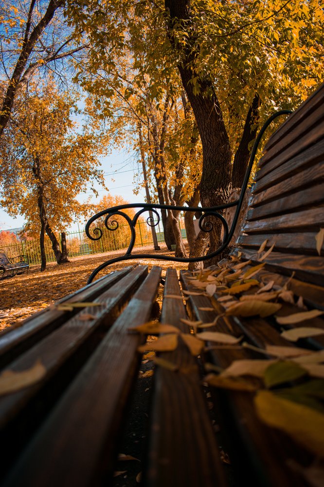 Осениий парк