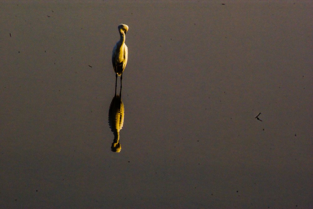 Photograph by Prithes Adhikary