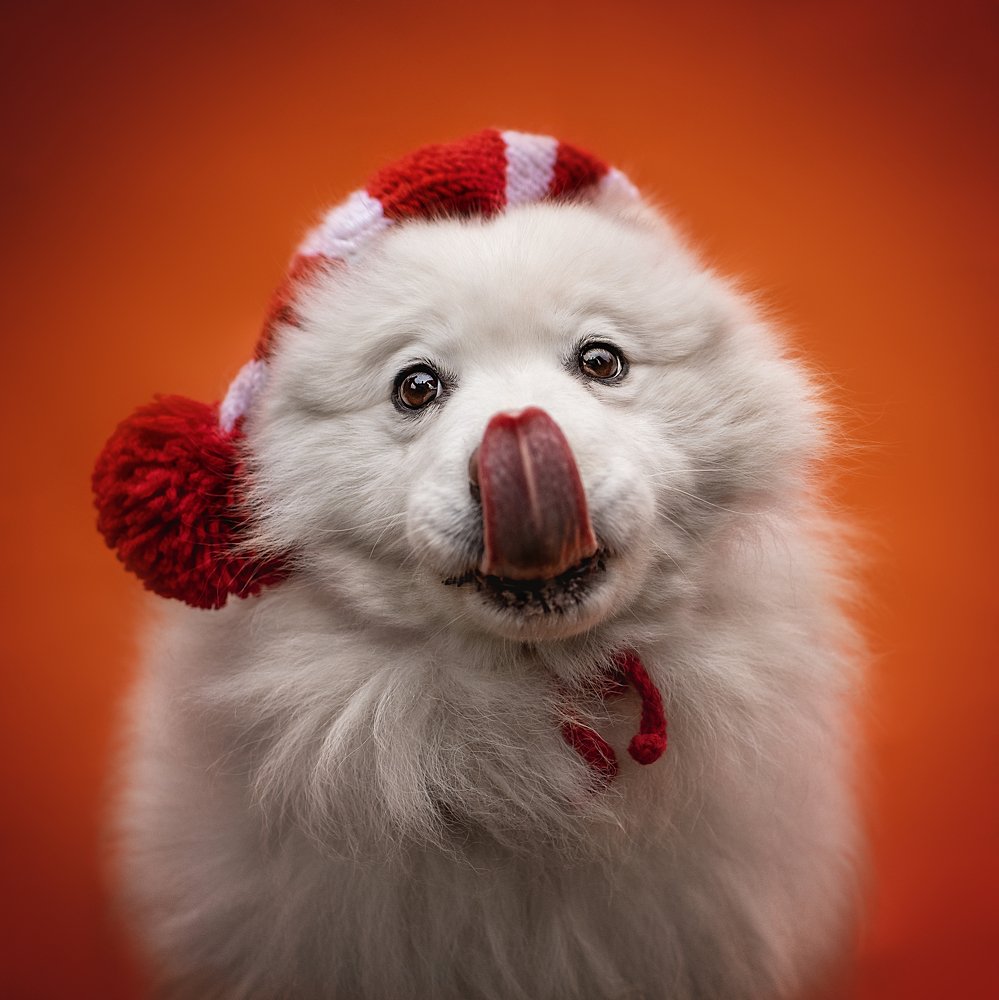 Photograph by Динара