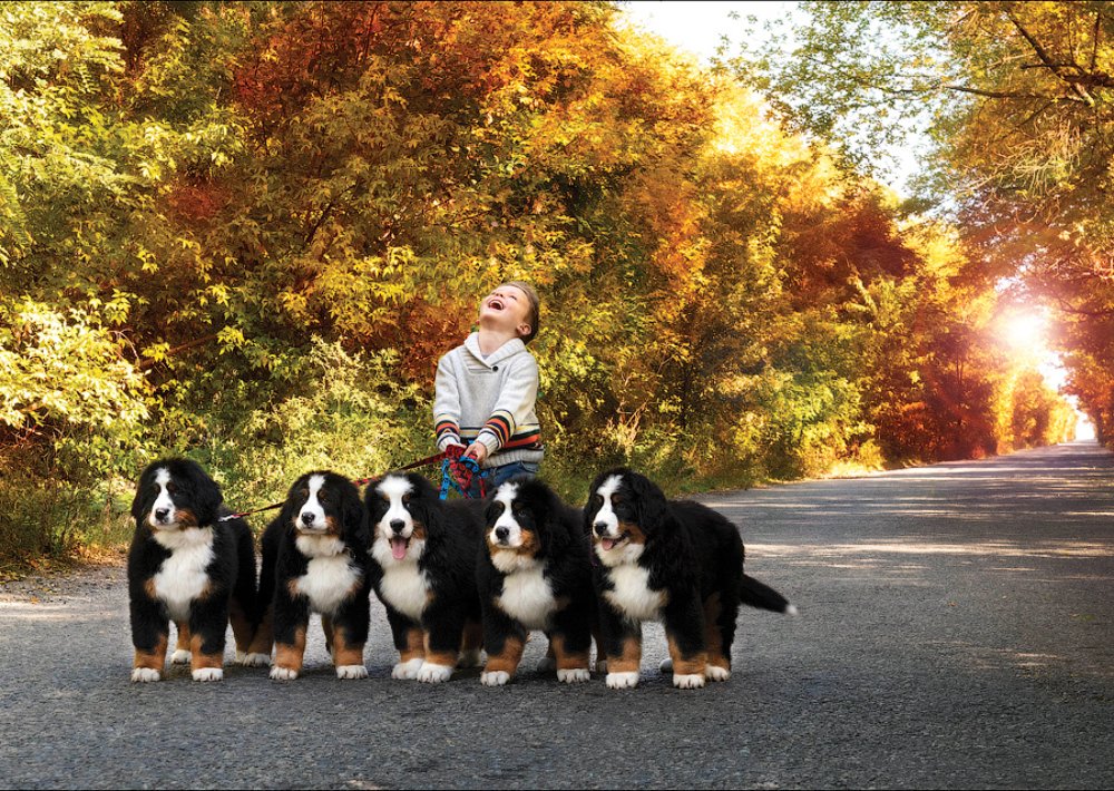 Photograph by Katerina Kutova