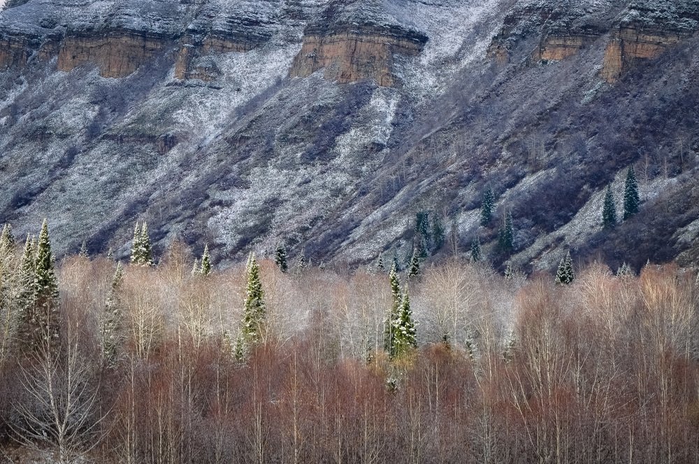 Первый снег в конце октября