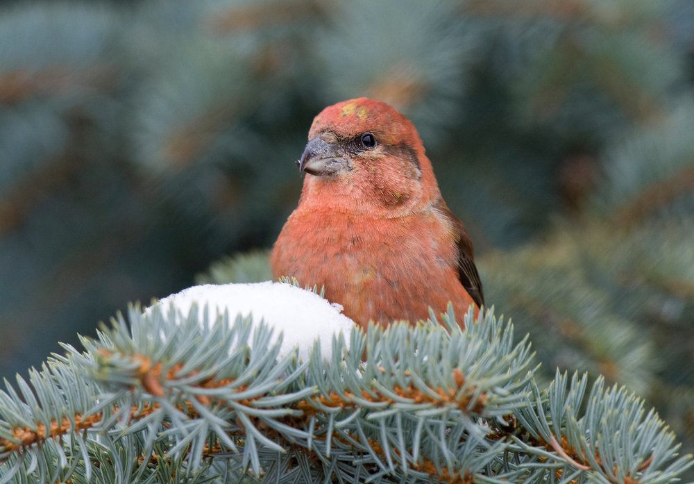 Photograph by Константин Данилов