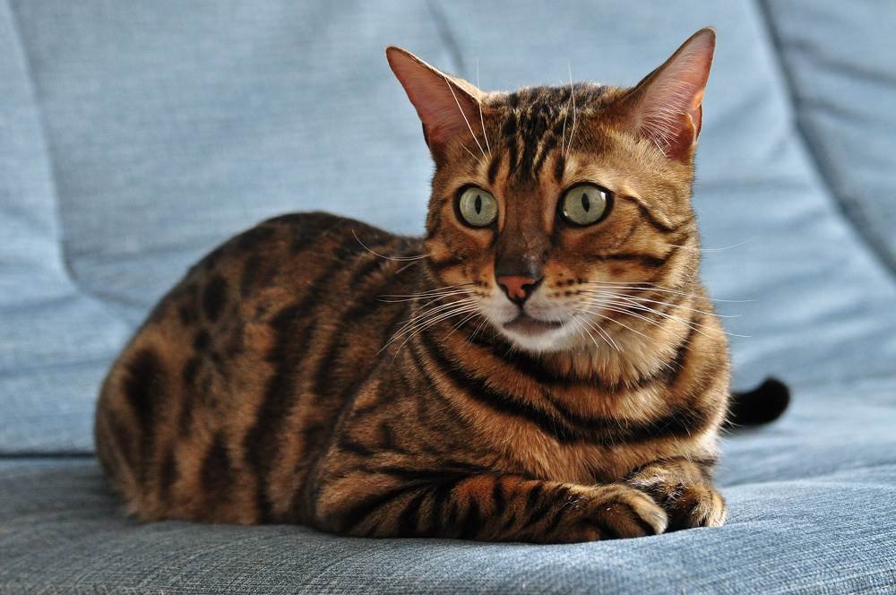 Photograph by Вячеслав Холзаков