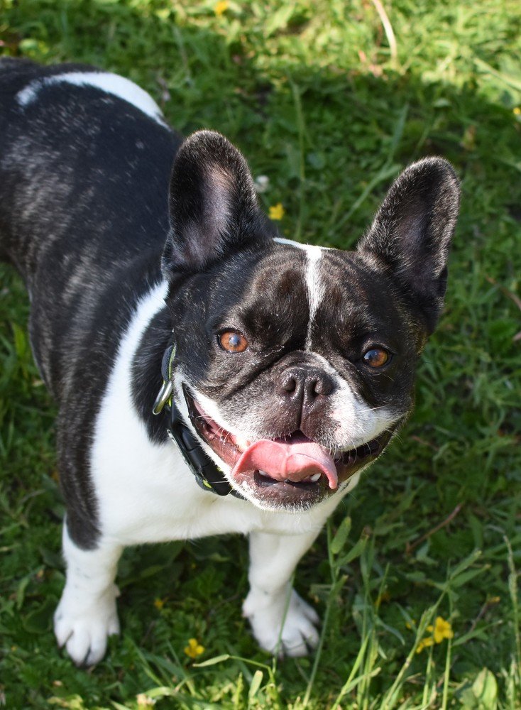 Photograph by Надежда Буаллаг