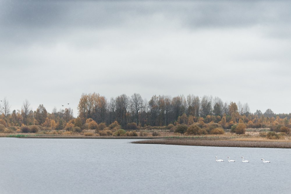 Photograph by Павел Михеев