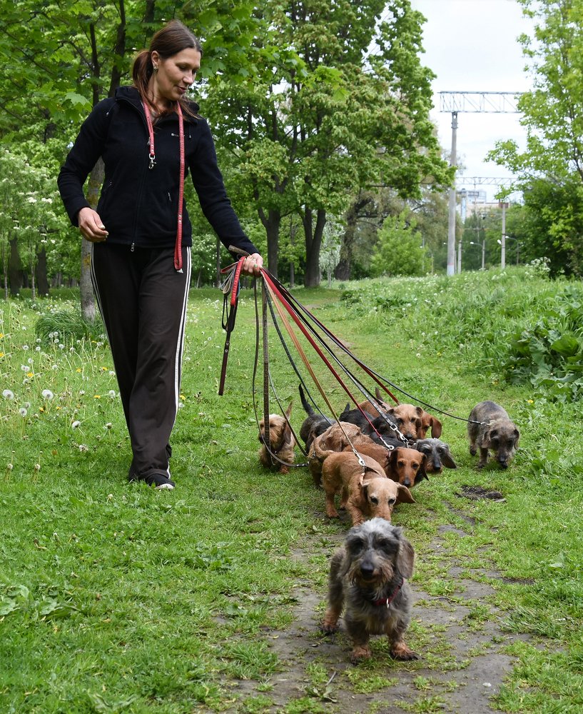 Photograph by Надежда Буаллаг
