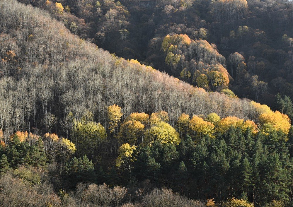 Photograph by Надежда Буаллаг