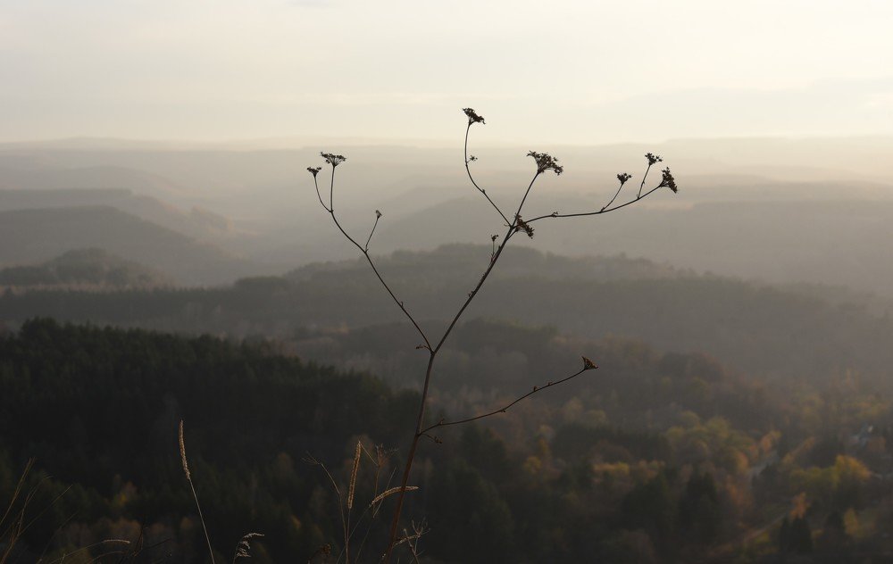 Photograph by Надежда Буаллаг