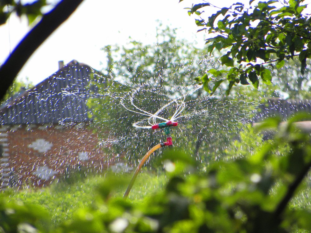 Photograph by Александр Малютин