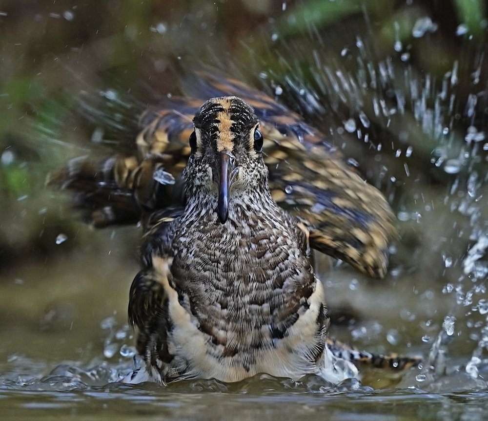 Photograph by Kan Chung Wong