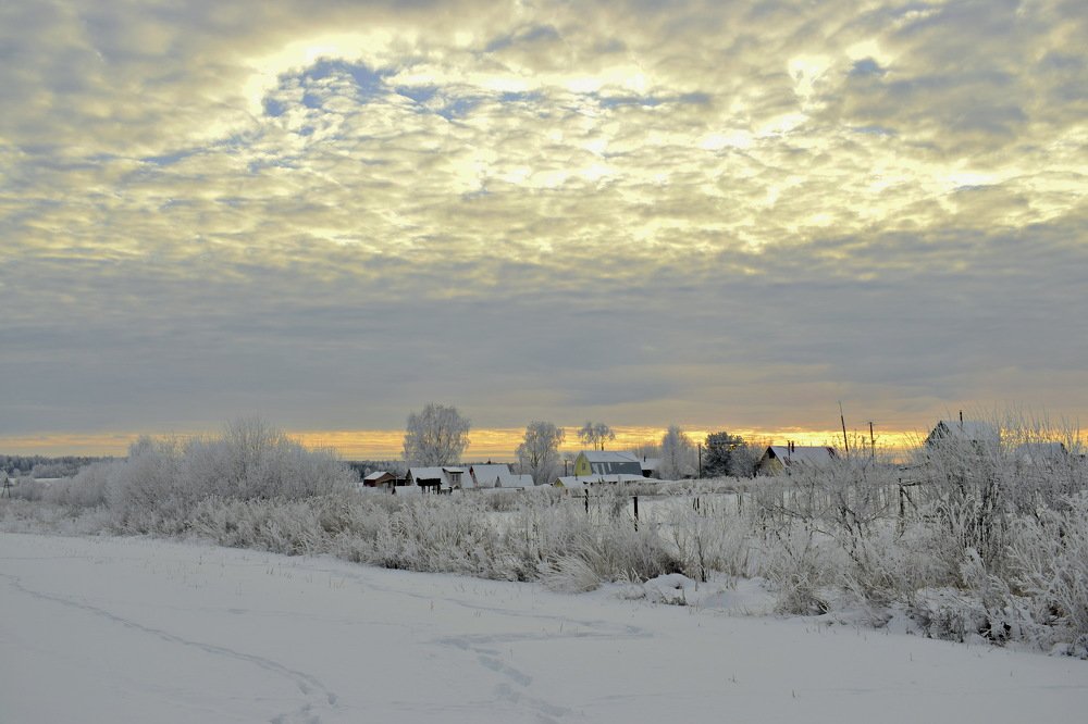 Photograph by Надежда Коновалова