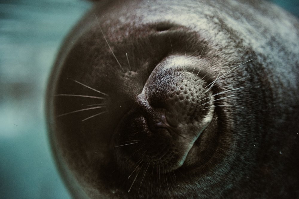 Photograph by Егор Кондратов