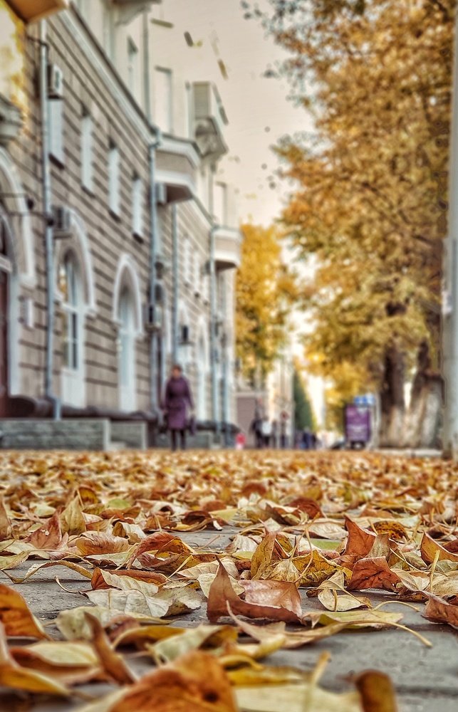 Photograph by Мария Поливода