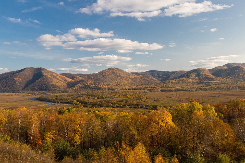 Photograph by Дмитрий Медянников