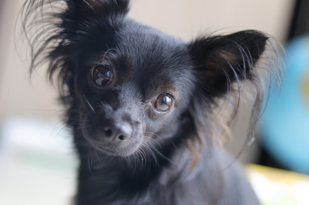 Photograph by Екатерина Слепнева