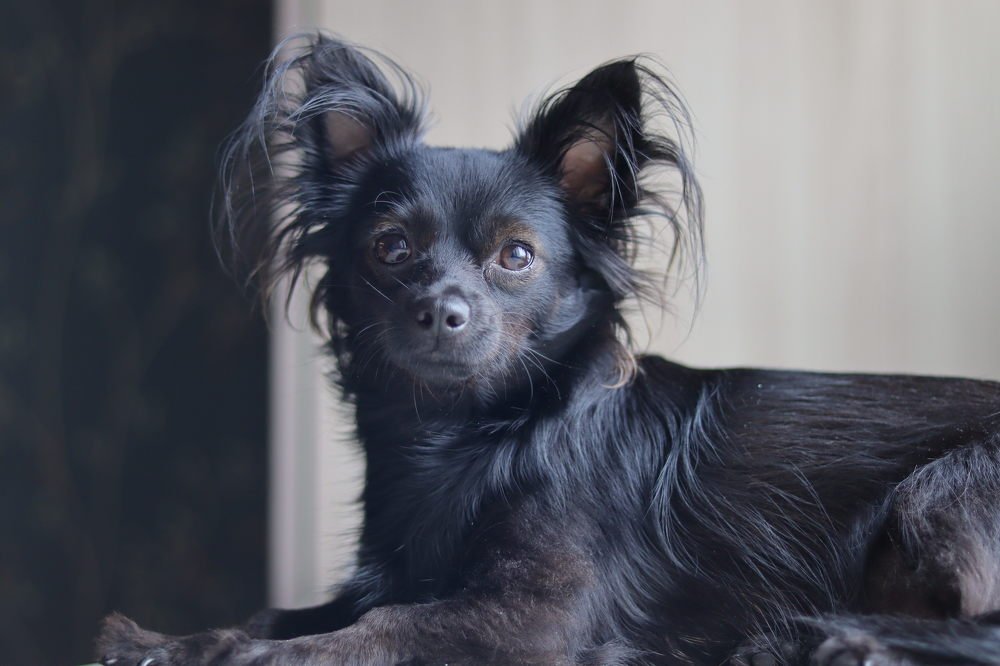 Photograph by Екатерина Слепнева