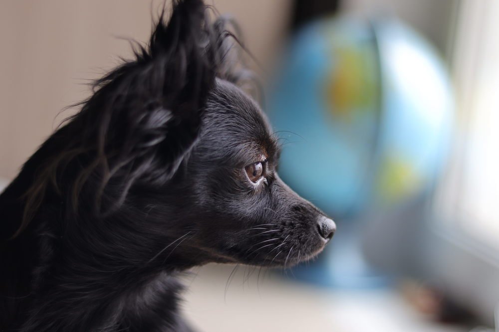 Photograph by Екатерина Слепнева