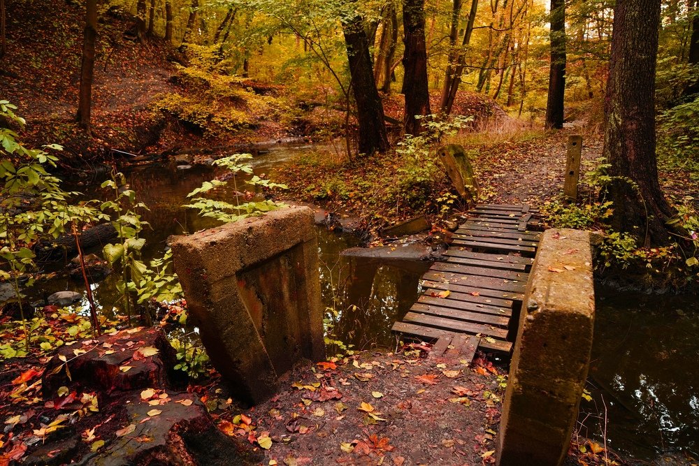 Забытая переправа через осенний пруд.