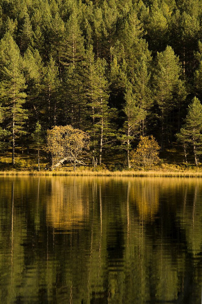 Затерялись