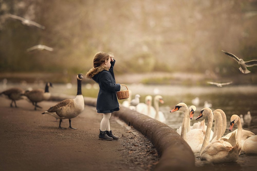 Photograph by Julia Zulge