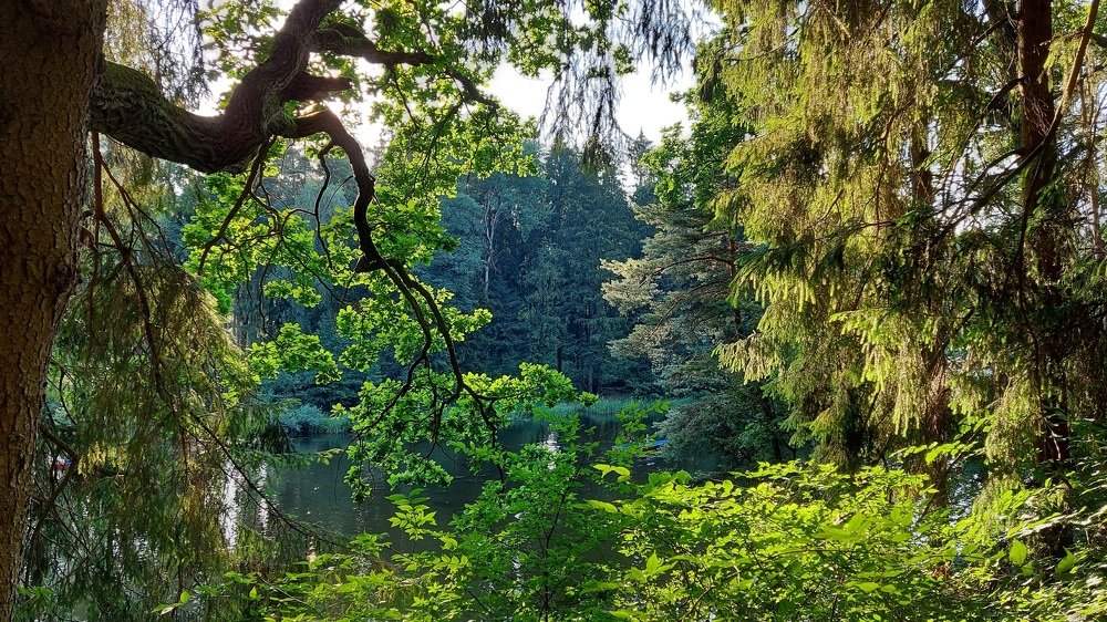 Photograph by ЭЛЬМИРА  ИСМАИЛОВА