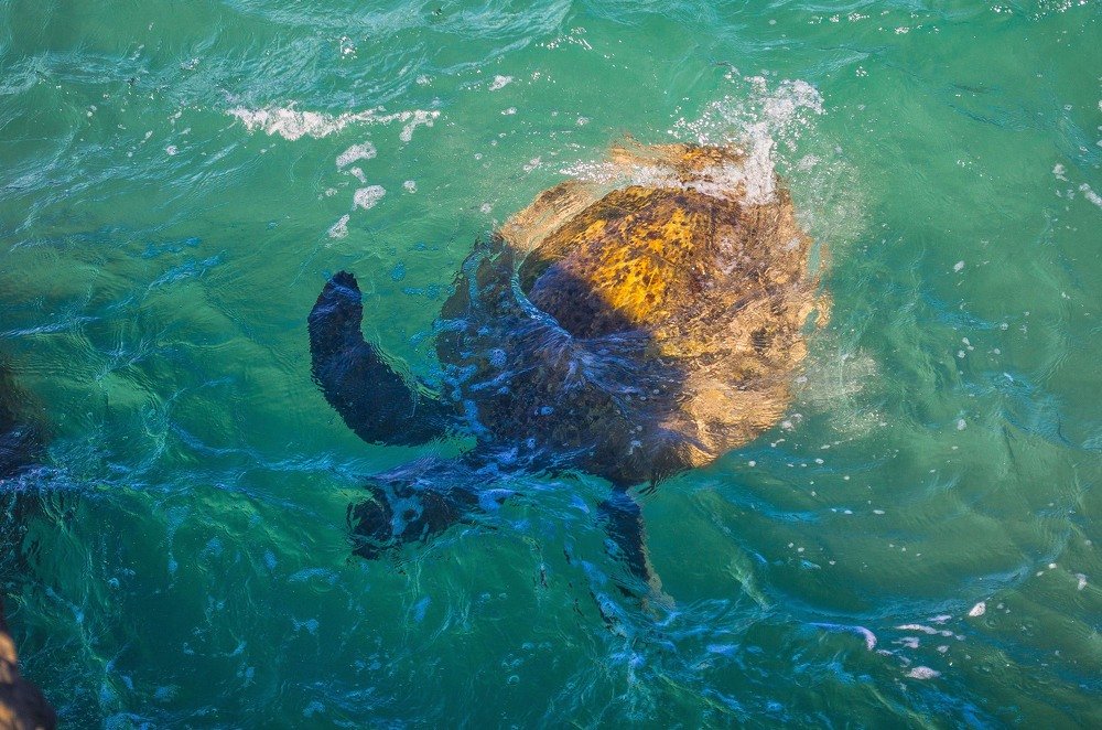 Photograph by Victoria Krasyuk