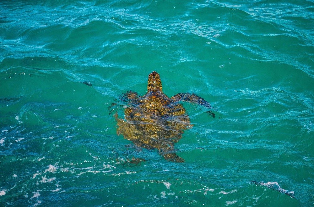 Photograph by Victoria Krasyuk