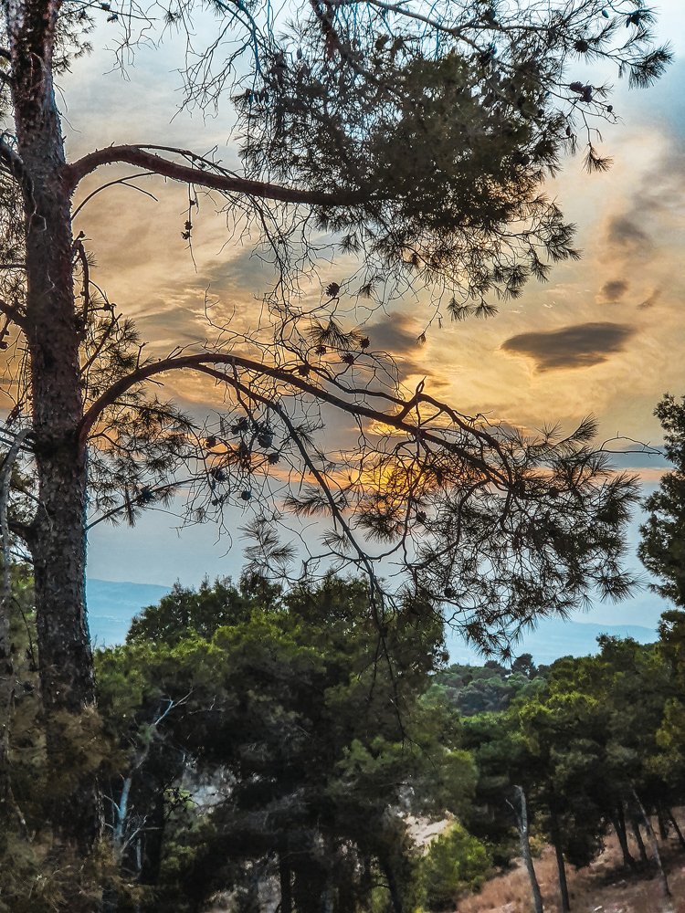 Photograph by Михаил Заброцкий