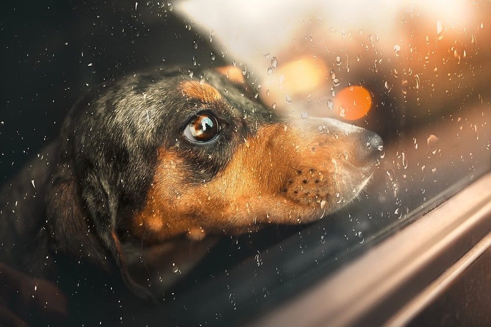 Photograph by Ольга Овчинникова