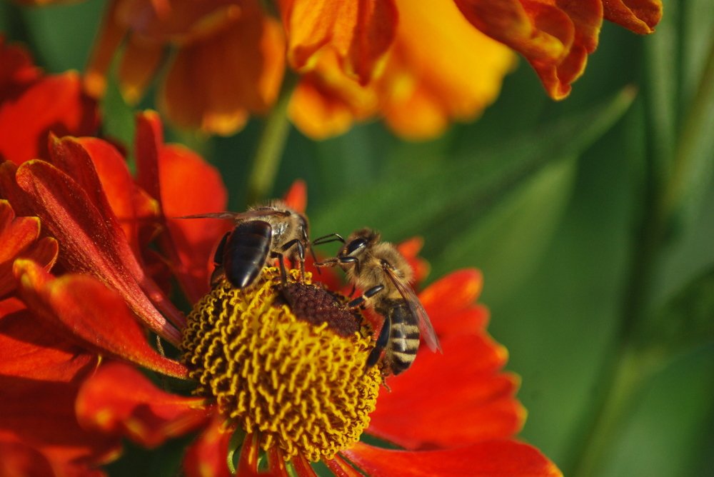Фотография автора Наталья Липовская
