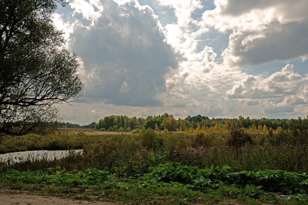Фотография автора Наталья Липовская