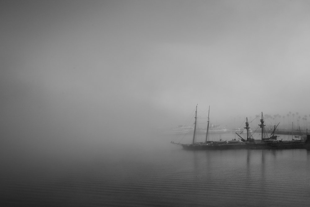 Фотография автора Predrag Durdevic