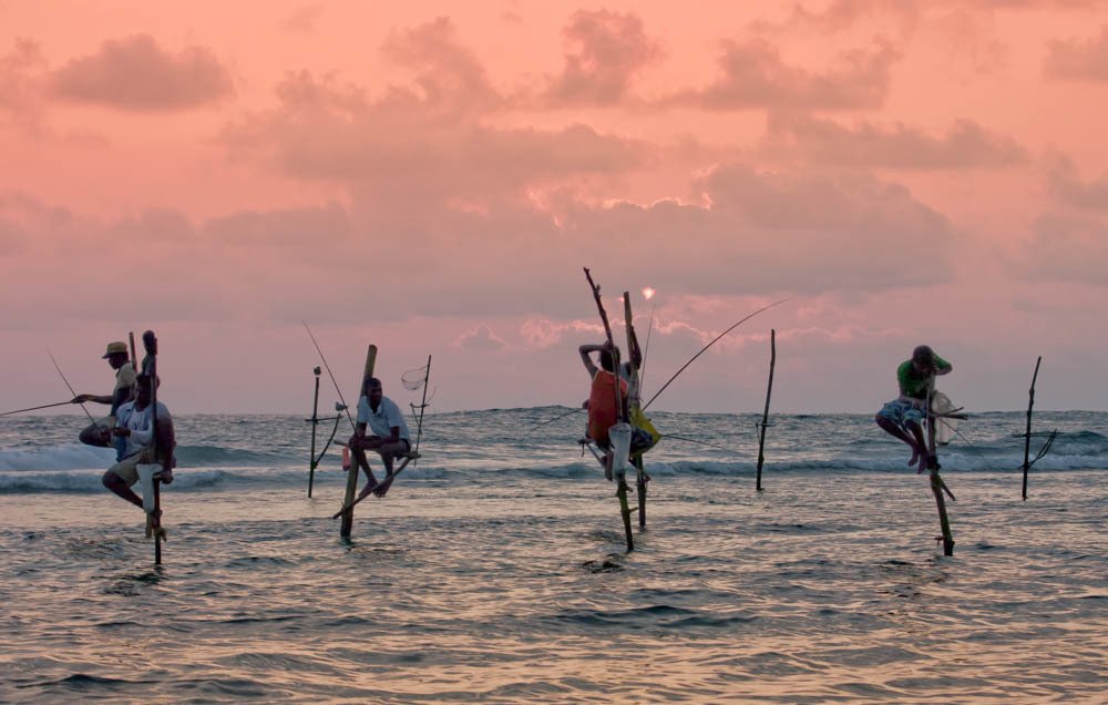 Photograph by Harsha Matarage