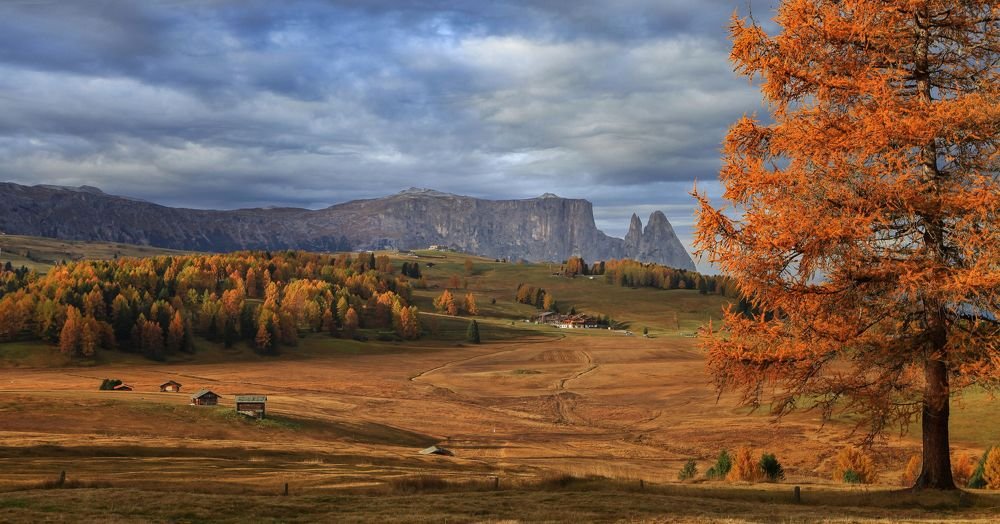 Фотография автора Милокост Алексей