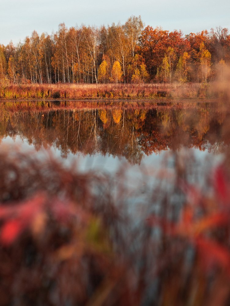 Photograph by Екатерина Лесная