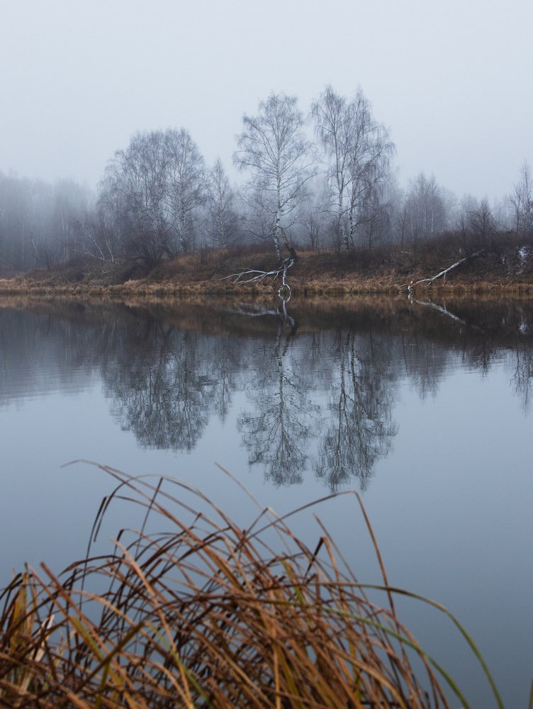 Photograph by Екатерина Лесная