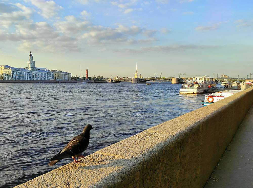 Photograph by Светлана Потемкина