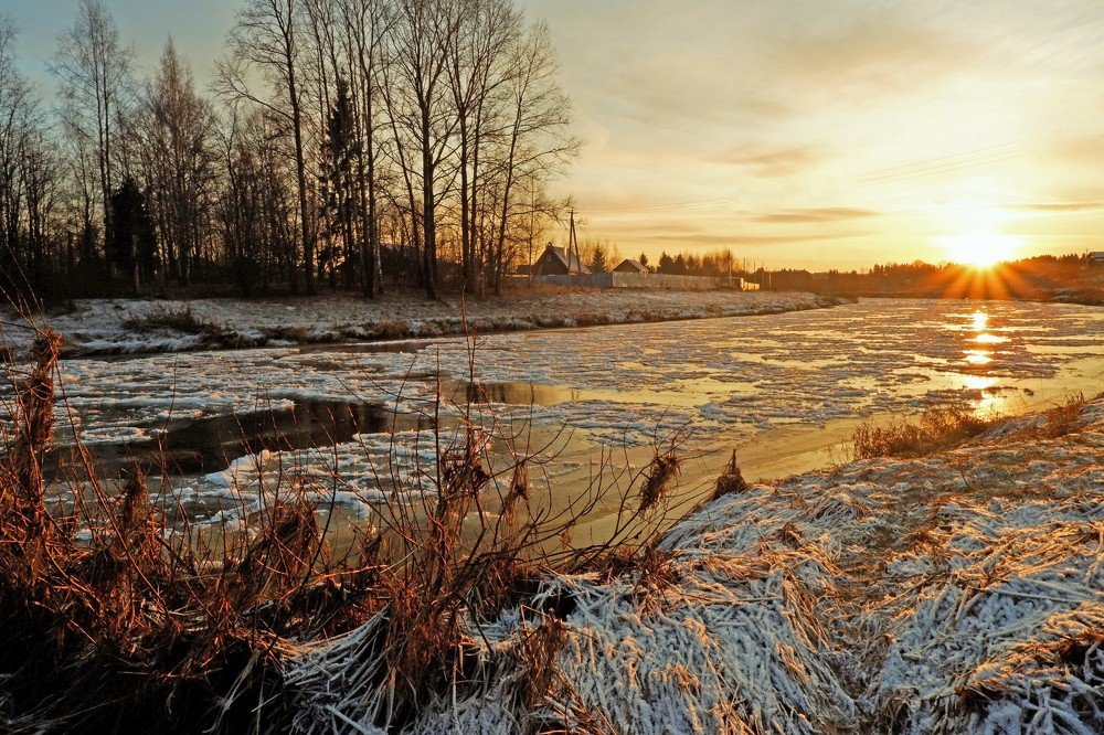 Фотография автора Наталья Липовская
