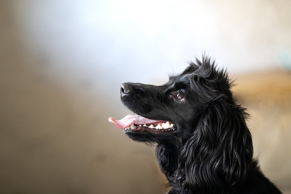 Photograph by Ксения Золотухина