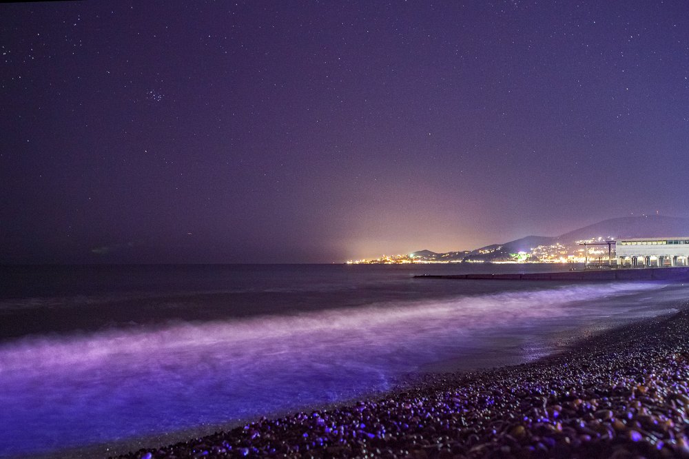 Photograph by Elvira Maksimova