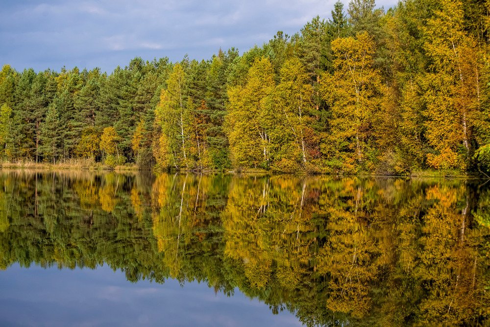 Photograph by Андрей Зуев