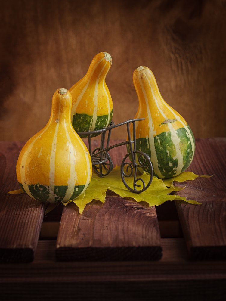 Семейная фотосессия