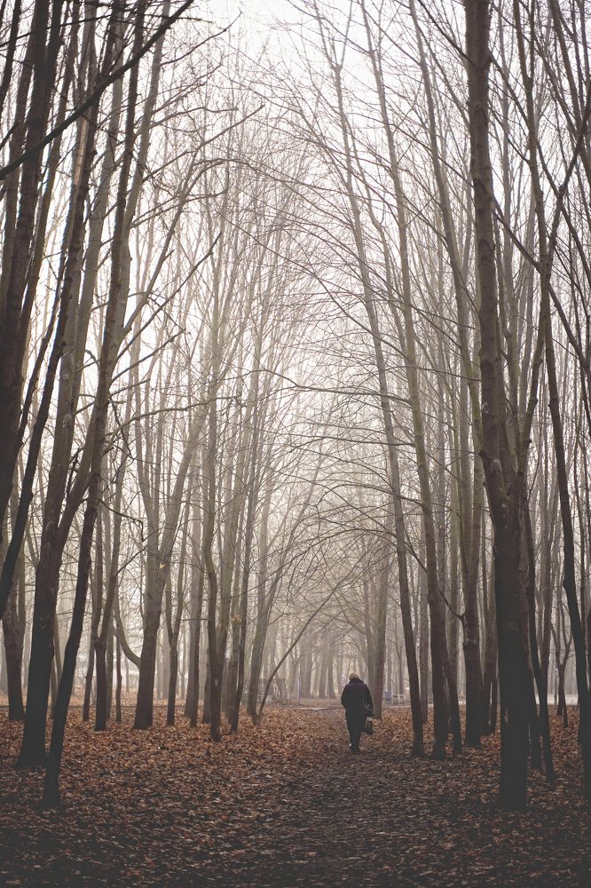 Photograph by Наталия Якимова