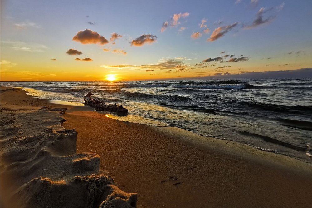 Фотография автора Iwona Moskalik