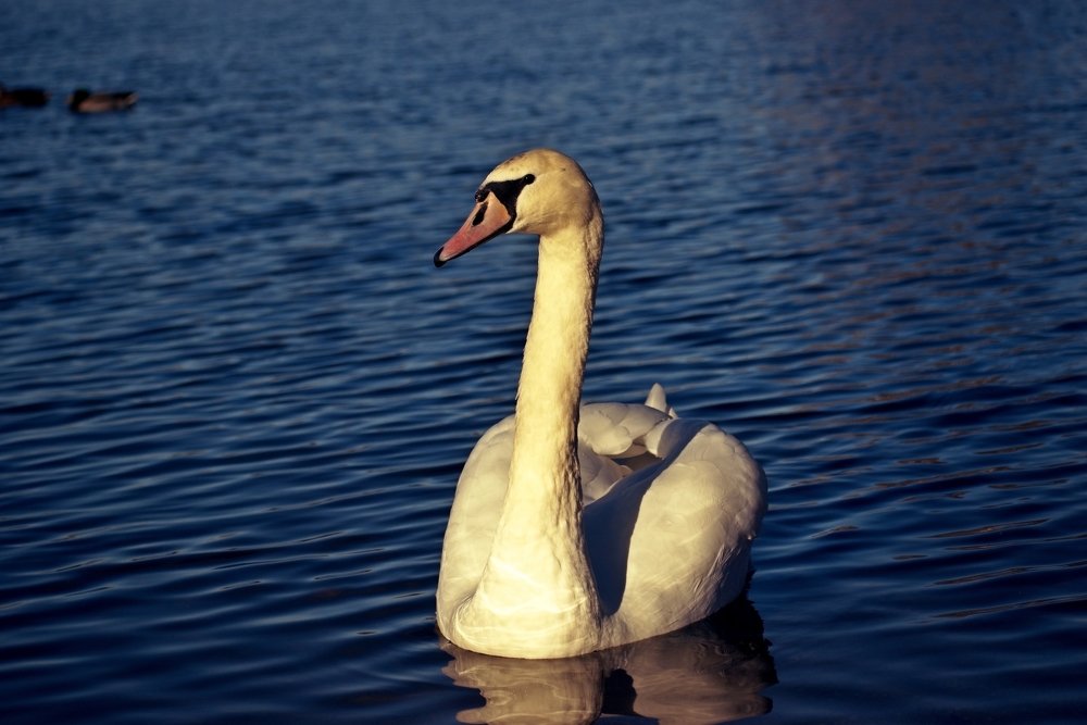 Photograph by Валерий Талейко
