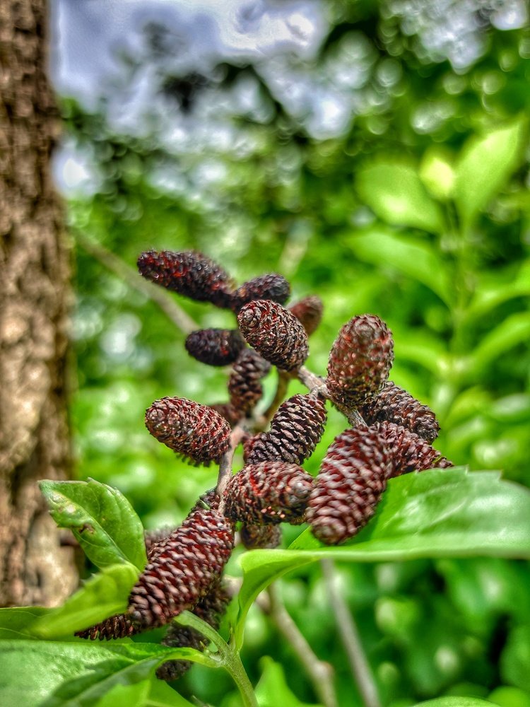 Photograph by Amit Deshar